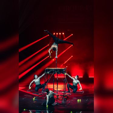 Festival Mondial du Cirque de Demain 2024, les photos  -  A7C2866