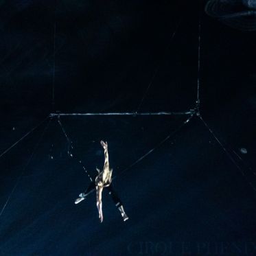 Festival Mondial du Cirque de Demain 2024, les photos