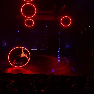 Festival Mondial du Cirque de Demain 2024, les photos