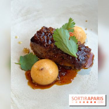 Vaisseau d'Adrien Cachot - Cochon de lait