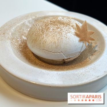 Vaisseau d'Adrien Cachot - Mont Blanc champignons