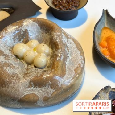 Vaisseau d'Adrien Cachot - Mochi