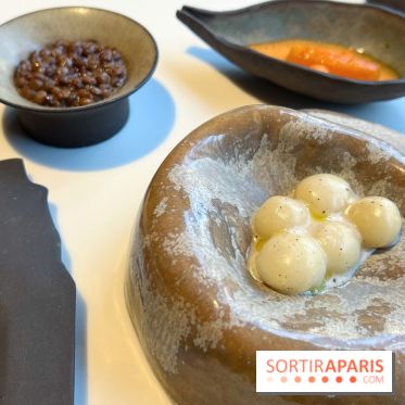 Vaisseau d'Adrien Cachot - Mochi