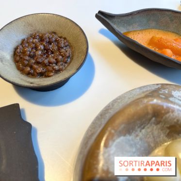 Vaisseau d'Adrien Cachot - Lentilles