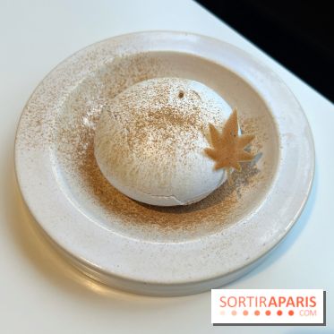 Vaisseau d'Adrien Cachot - Mont Blanc champignons