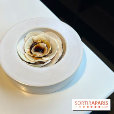 Vaisseau d'Adrien Cachot - Champignons