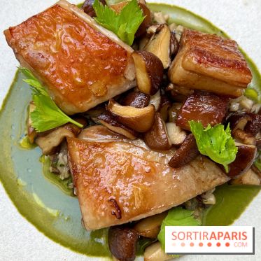 Halo de Victor Blanchet - Selle d'agneau