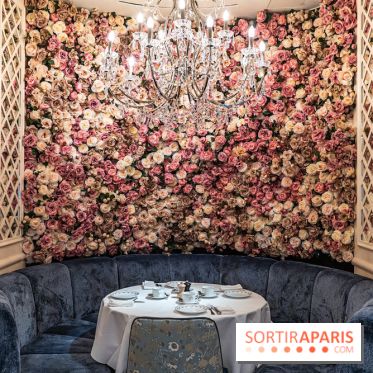 Ladurée Champs-Elysées transformé, découvrez son nouveau visages et ses différents espaces -  A7C2522