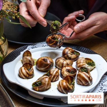 Les Chouettes restaurant  -  escargots