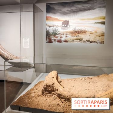 Dans la Seine : une expo de la Crypte archéologique dévoile les objets retrouvés dans la Seine  - IMG20240130101744