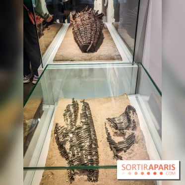 Dans la Seine : une expo de la Crypte archéologique dévoile les objets retrouvés dans la Seine  - IMG20240130100018