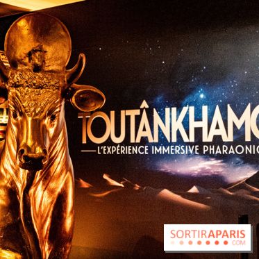 Toutankhamon, l'expérience immersive Pharaonique - les photos -  A7C4205 HDR