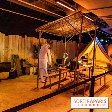 Toutankhamon, l'expérience immersive Pharaonique - les photos -  A7C4208 HDR