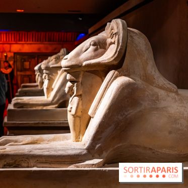 Toutankhamon, l'expérience immersive Pharaonique - les photos -  A7C4229