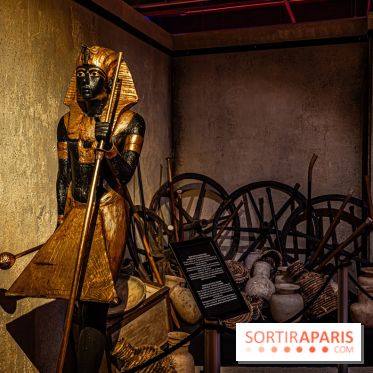 Toutankhamon, l'expérience immersive Pharaonique - les photos -  A7C4271
