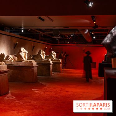Toutankhamon, l'expérience immersive Pharaonique - les photos -  A7C4305