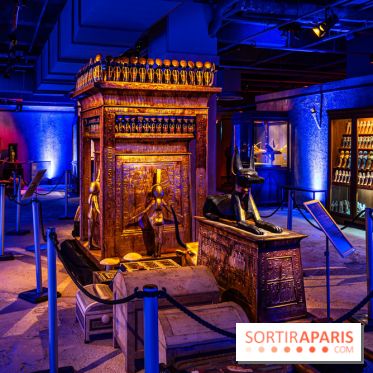 Toutankhamon, l'expérience immersive Pharaonique - les photos -  A7C4330
