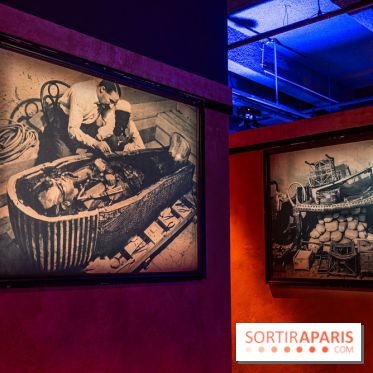 Toutankhamon, l'expérience immersive Pharaonique - les photos -  A7C4345