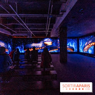 Toutankhamon, l'expérience immersive Pharaonique - les photos -  A7C4358