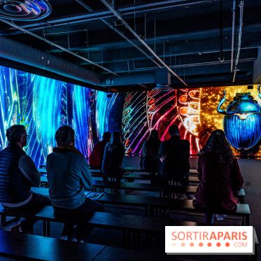 Toutankhamon, l'expérience immersive Pharaonique - les photos -  A7C4363