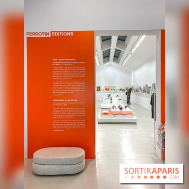 Exposition Perrotin Editions : Tous Collectionneurs ! à la galerie Perrotin - IMG 4262