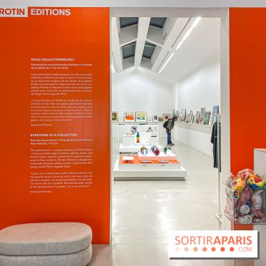 Exposition Perrotin Editions : Tous Collectionneurs ! à la galerie Perrotin - IMG 4263