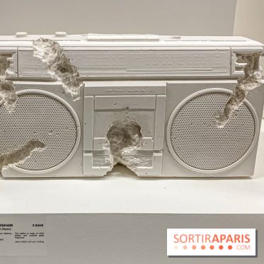 Exposition Perrotin Editions : Tous Collectionneurs ! à la galerie Perrotin - IMG 4315