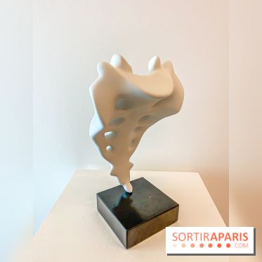 Exposition Perrotin Editions : Tous Collectionneurs ! à la galerie Perrotin - IMG 4318