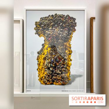 Exposition Perrotin Editions : Tous Collectionneurs ! à la galerie Perrotin - IMG 4325