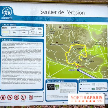 Le sentier de l'érosion à Fontainebleau - balade en forêt - IMG 6592
