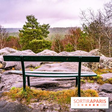 Le sentier de l'érosion à Fontainebleau - balade en forêt -  A7C4566