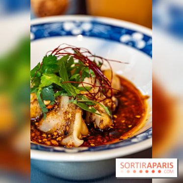 Nouilles Ban Ban restaurant  -  raviolis