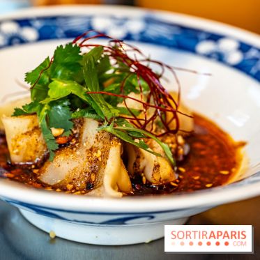 Nouilles Ban Ban restaurant  -  raviolis