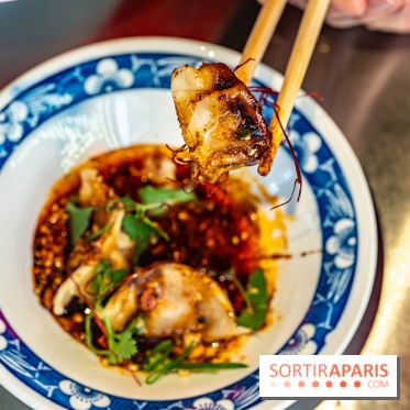 Nouilles Ban Ban restaurant  -  raviolis