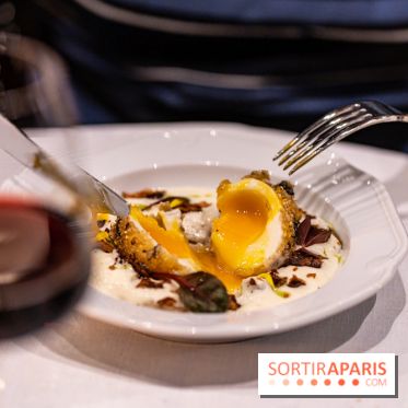 Marguerite 1606, restaurant du Domaine de la Reine Margot -  A7C3578