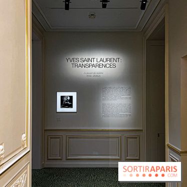 Transparences, la nouvelle exposition mode du Musée Yves Saint Laurent - image00001