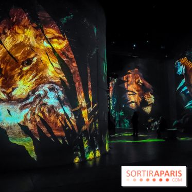 Les Orientalistes, l'exposition de l'Atelier des Lumières qui nous fait voyager en Orient - photos - IMG20240208103033