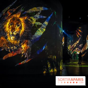 Les Orientalistes, l'exposition de l'Atelier des Lumières qui nous fait voyager en Orient - photos - IMG20240208103016