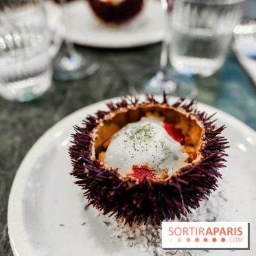 Calice à Paris, nos photos
