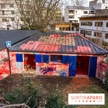 Colors Festival 2024, la nature reprend ses droits  -  A7C5703