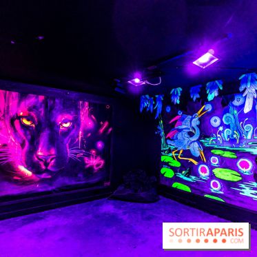 Colors Festival 2024, la nature reprend ses droits  -  A7C5713