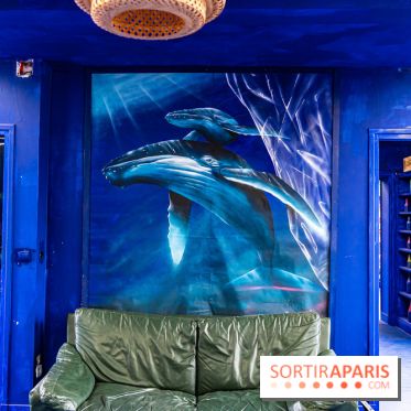 Colors Festival 2024, la nature reprend ses droits  -  A7C5744