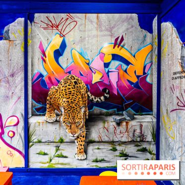 Colors Festival 2024, la nature reprend ses droits  -  A7C5758