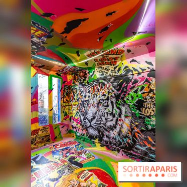 Colors Festival 2024, la nature reprend ses droits  -  A7C5764