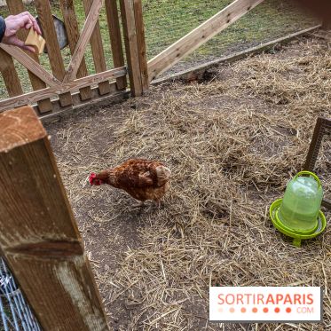 Demeures de Campagne : une évasion verte et cocooning à 35 minutes de Paris  - IMG 4369