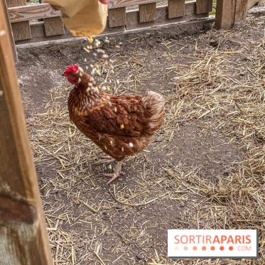 Demeures de Campagne : une évasion verte et cocooning à 35 minutes de Paris  - IMG 4371