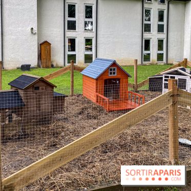 Demeures de Campagne Parc de Coudray : une évasion verte et cocooning à 35 minutes de Paris