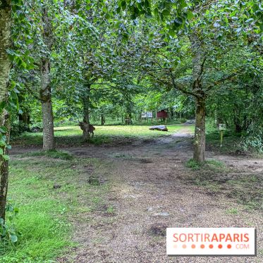 Demeures de Campagne Parc de Coudray : une évasion verte et cocooning à 35 minutes de Paris