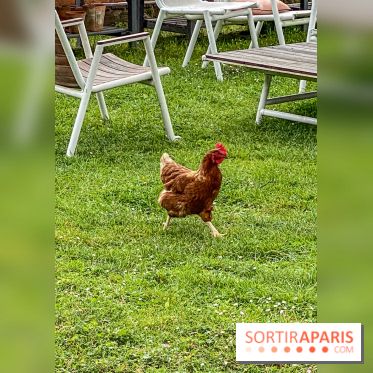 Demeures de Campagne Parc de Coudray : une évasion verte et cocooning à 35 minutes de Paris  - IMG 8285