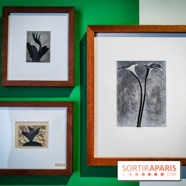 Tina Modotti : l'exposition photo rétrospective au Jeu de Paume - nos photos - IMG20240212100352